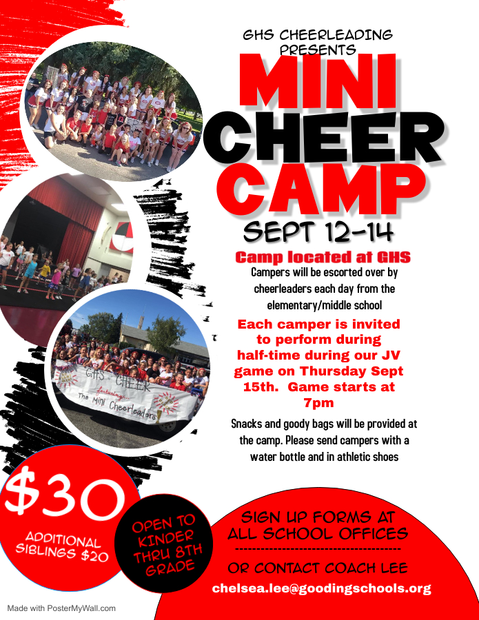 mini cheer camp flyer